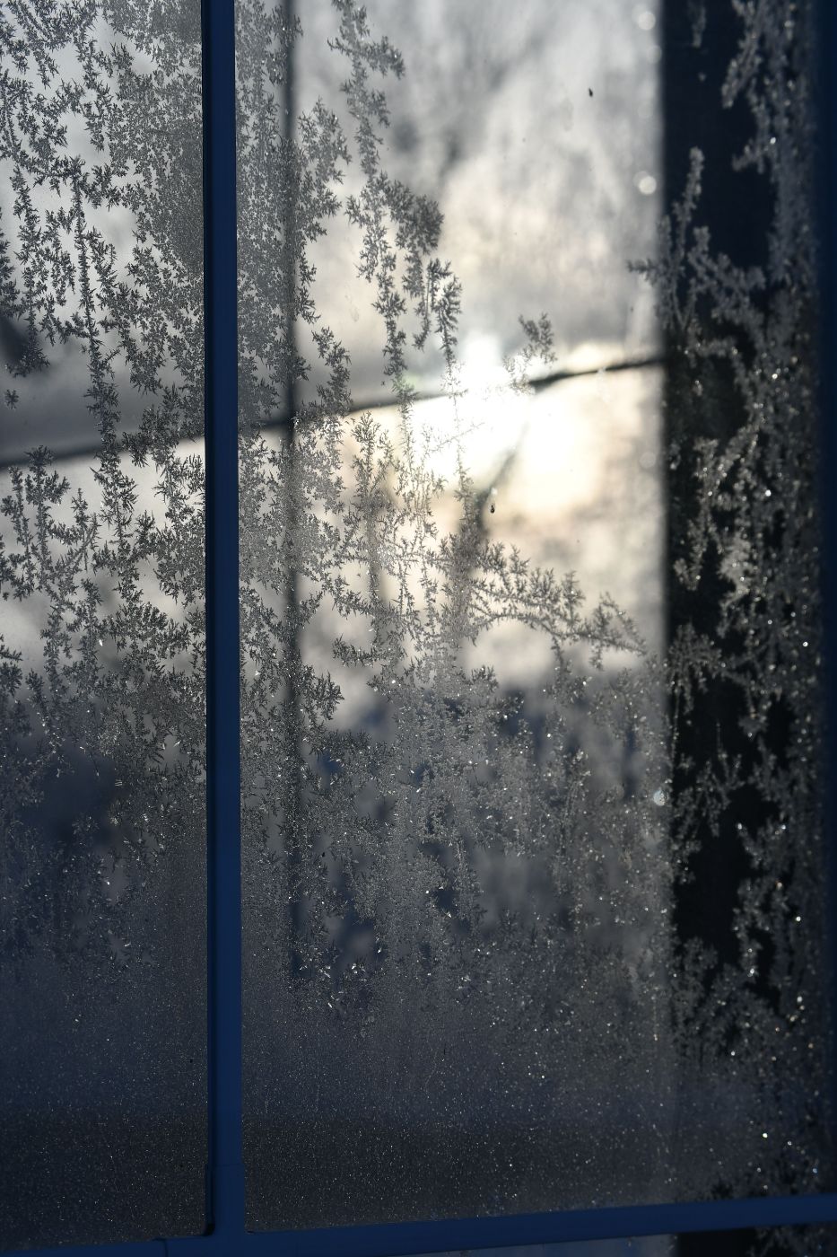 Frost patterns on a window