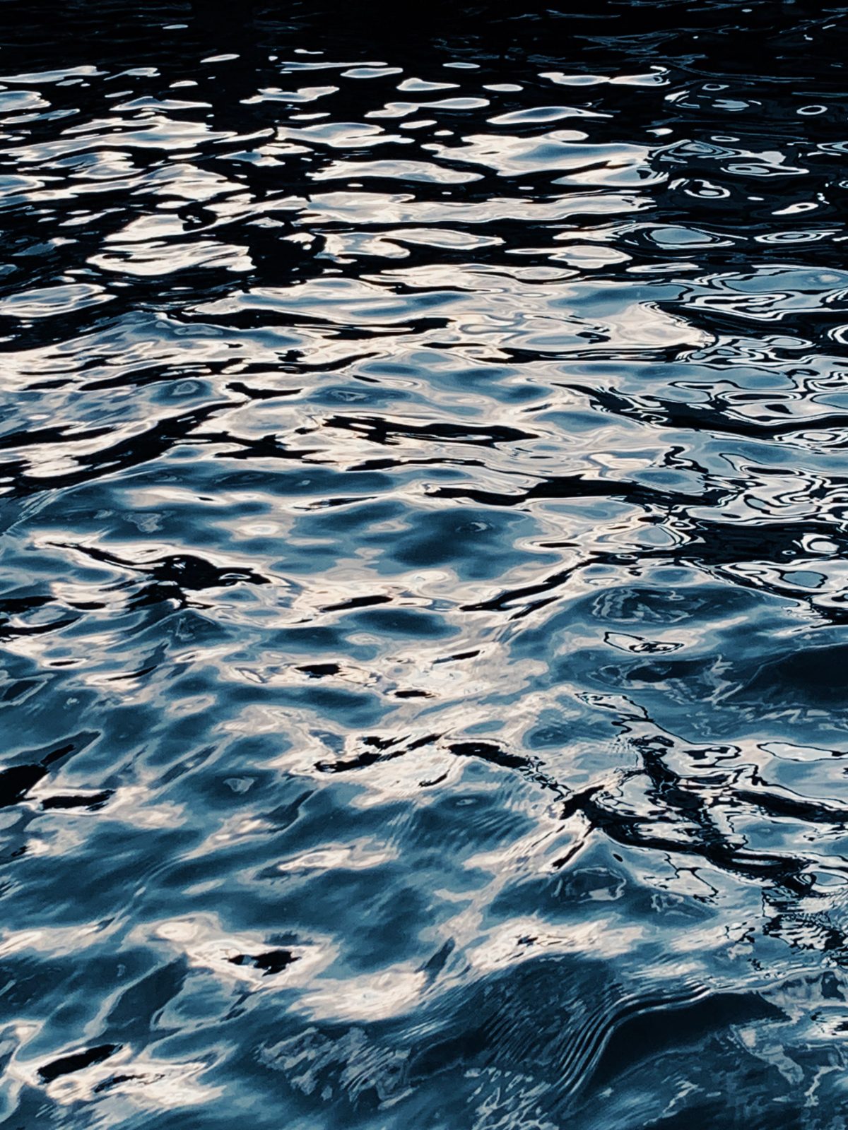 Ripples spreading across still water